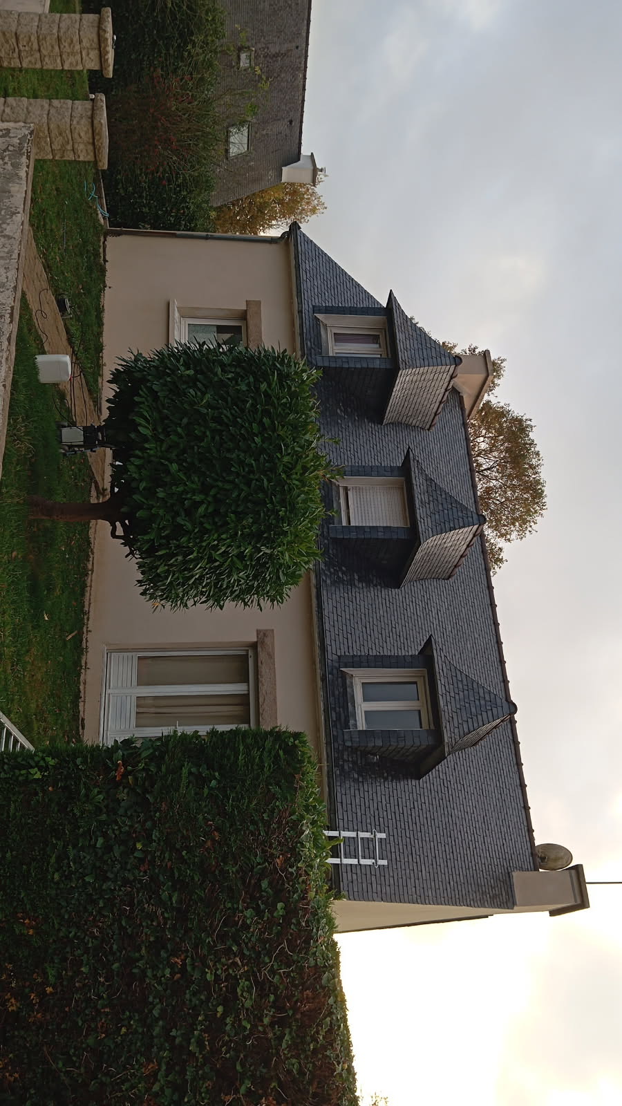 Nettoyage et démoussage de toiture